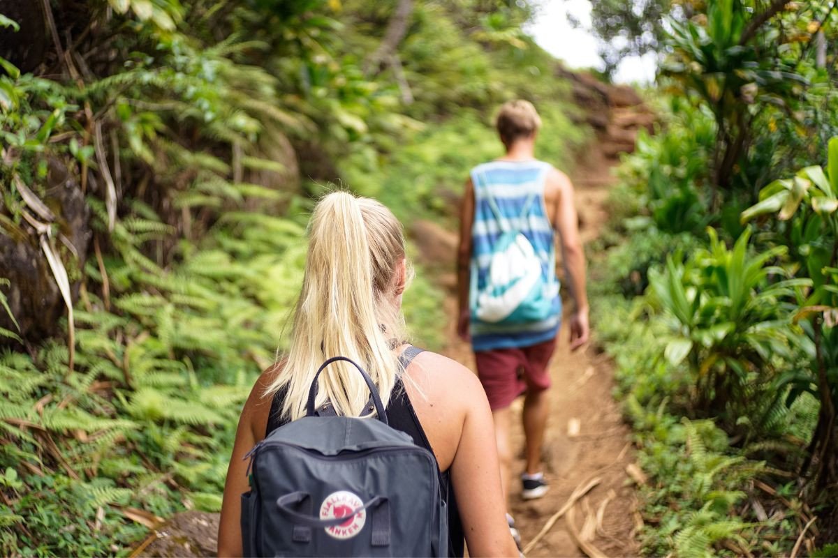 Two hikers walking along a forested trail, with lush greenery on either side.